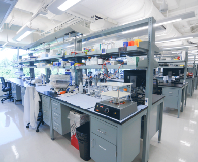 Horizontal view of laboratory with cluttered countertops