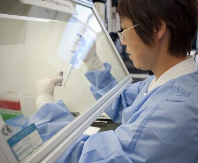 Woman scientist works behind hood with pipette
