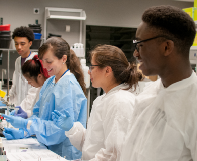 Lab scientists working together Lab scientists working together