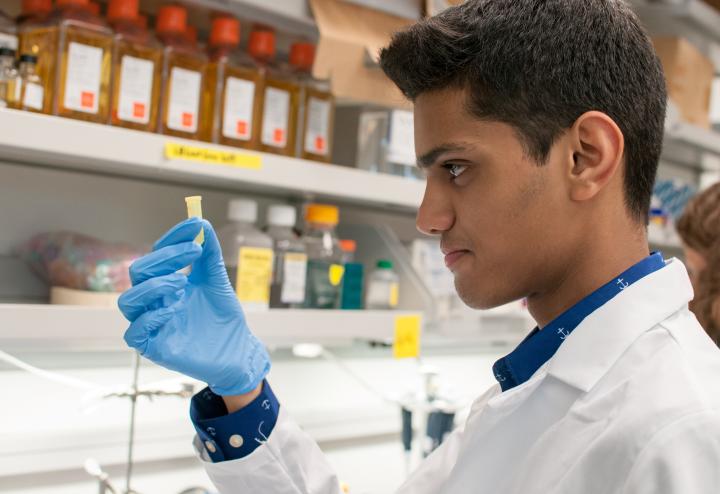 Male scientist looks at small beaker