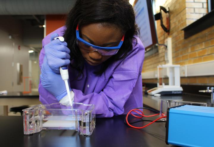 Female scientist works with pipette and culture