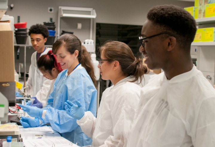 Lab scientists working together Lab scientists working together