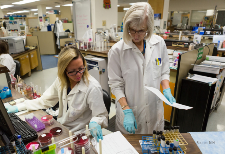 Researchers working in laboratory