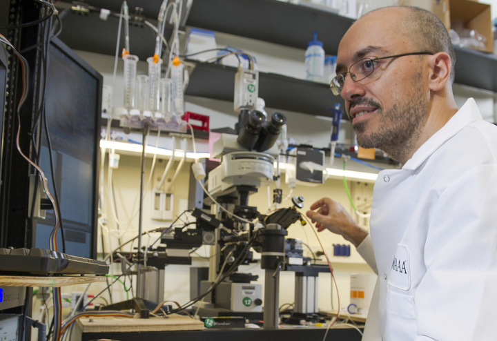 Scientist works with microscope and computer 