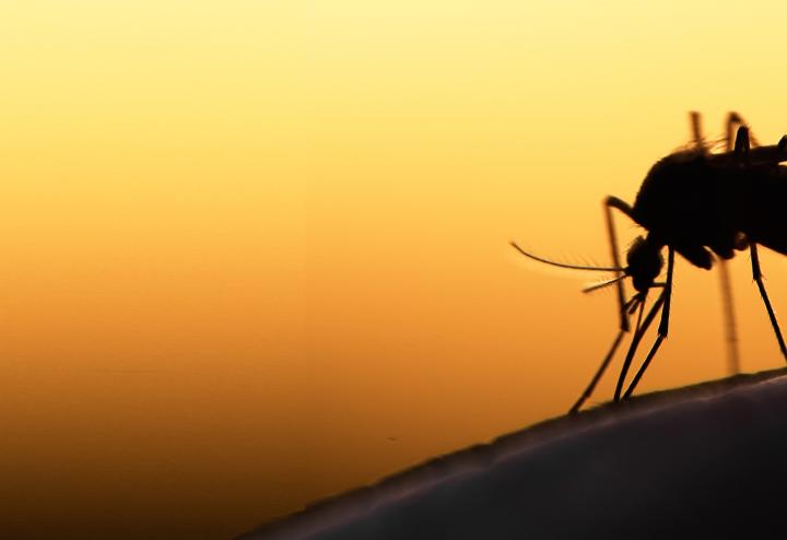 Infectious Disease Infectious Disease