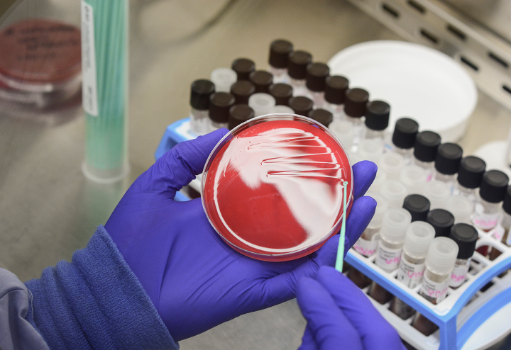 Infectious Disease