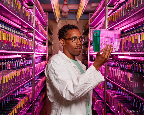 Black man in lab coat holds up research specimen in laboratory hallway of stored specimen. Source: NIH.