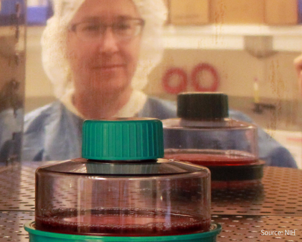 Woman in lab gear watches petri dishes from the other side of the glass