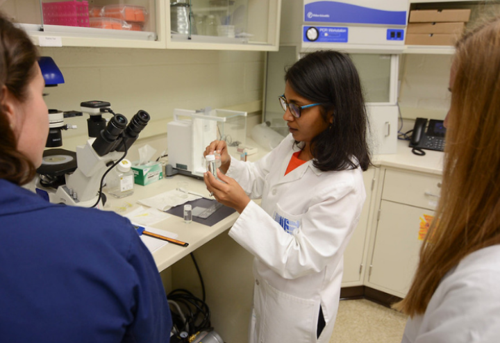 Researcher working in laboratory