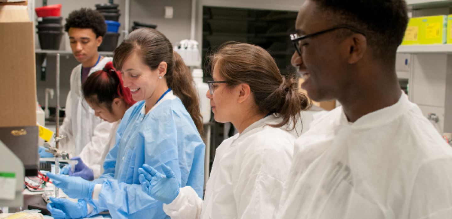 Lab scientists working together Lab scientists working together