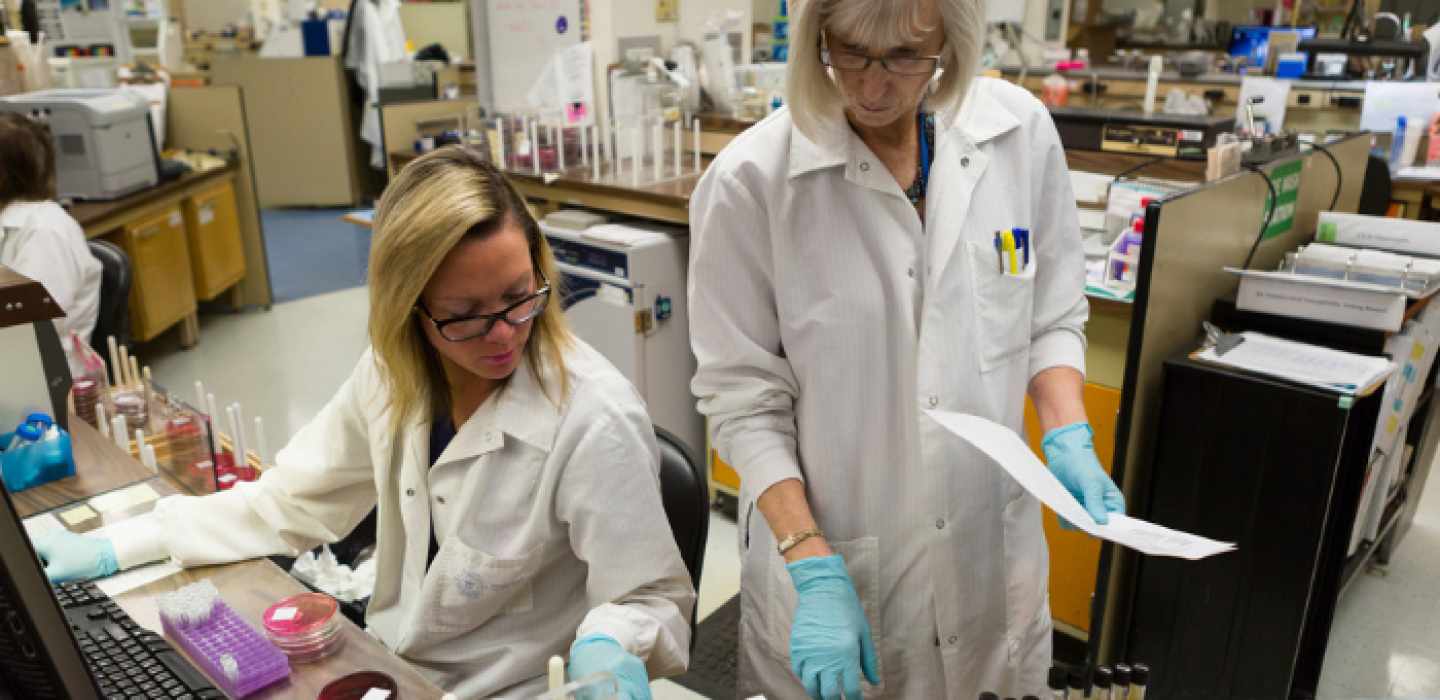 Researchers working in laboratory